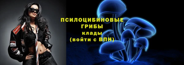 таблы Лиски