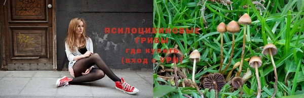 apvp Липки