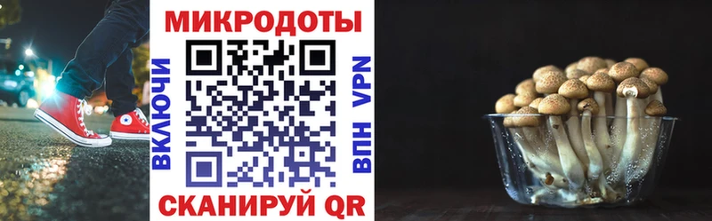 Галлюциногенные грибы мухоморы Чадан